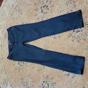 Chico's blue stretch straight leg jeans classic 5 pocket Chicos sz 0 US 4 EUC…